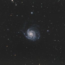 M 101