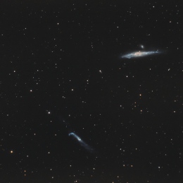 NGC 4631 + NGC 4656