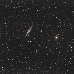 NGC 891