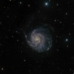 M 101