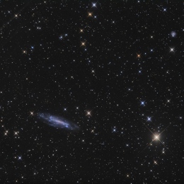 NGC 4236