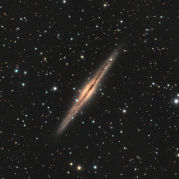 NGC 891