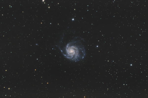 M 101