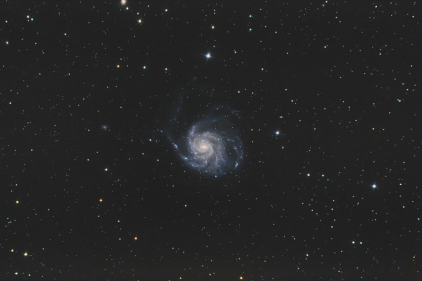 M 101