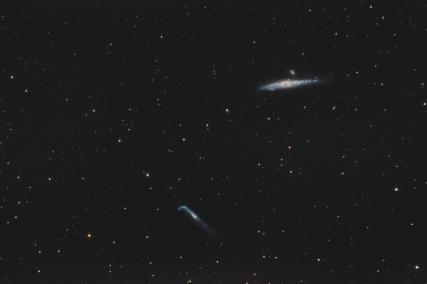 NGC 4631 + NGC 4656