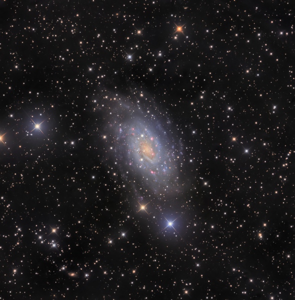 NGC 2403