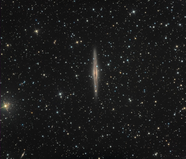 NGC 891