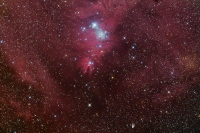 NGC 2264, la nébuleuse du cône