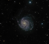 M 101