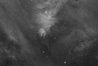 NGC 2264, la nébuleuse du cône