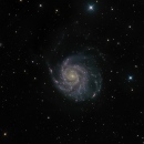 M 101